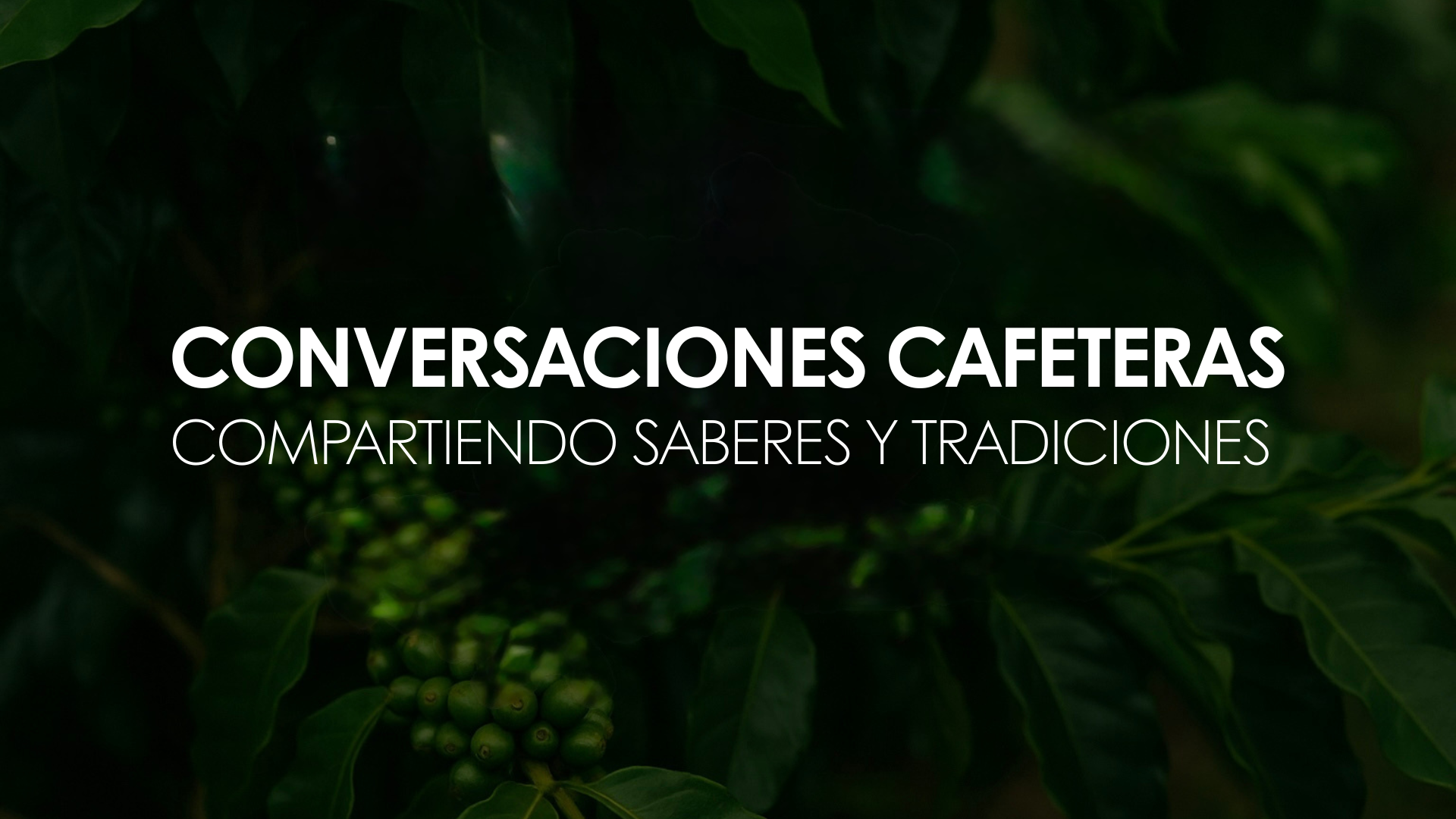 CONVERSACIONES CAFETEROS.png
