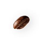 coffee-beans-P4MXYZD-1.png